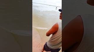 Amazing unique village fishing video  cast net catching fish fishing shortsfeed shortvideo [upl. by Mcneil561]