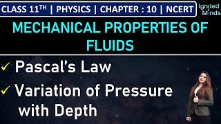 Class 11th Physics  Pascal’s Law  Variation of Pressure with Depth  Example 102  Chapter 10 [upl. by Ynaffad]