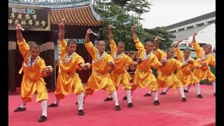 Shaolin Kungfu Masters [upl. by Locklin]