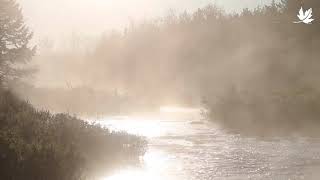 Tusket River Headwaters Nature Reserve NS [upl. by Ydnak78]