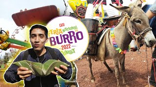 Aquí celebran al Burro Feria Del BURRO Otumba 2022 [upl. by Homovec263]