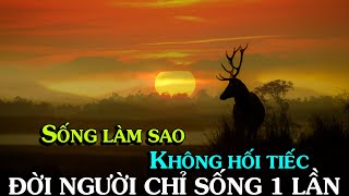 Sống làm sao cho khỏi hối tiếc đời người CHỈ SỐNG 1 LẦN  Thiền Đạo [upl. by Yrem]