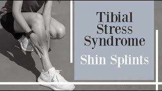 Tibial Stress Syndrome  Shin Splints  MTSS  front shin pain [upl. by Muhcan536]