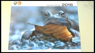 FORLÌ I paesaggi del Parco delle Foreste Casentinesi in un calendario VIDEO [upl. by Nnayllehs]