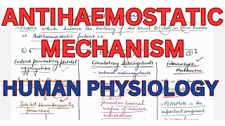 Antihaemostatic mechanism fibrinolysis Telegram httpstmedrshikhasaxenahumanphysio [upl. by Nura352]