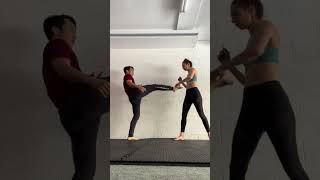 Roundhouse kicks variations training [upl. by Sawyere]