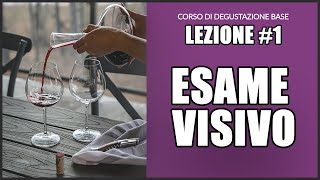 1 A lezione di degustazione analisi visiva [upl. by Zetana]