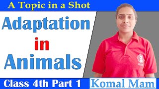 Adaptation in Animals Class 4 Part 1  BIG20 [upl. by Davis]