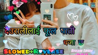 Deuralilai full pati dhaja xa slowreverse video passant boy SK music 🎧 [upl. by Bathulda558]