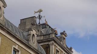 Old Billingsgate Fish Market and Custom HouseCity of London [upl. by Arraeis]