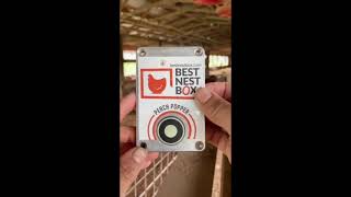 Best Nest Box PerchPopper [upl. by Naerb]