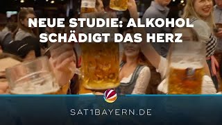 Alarmierende Studie der LMU München Alkohol schädigt das Herz [upl. by Diad]