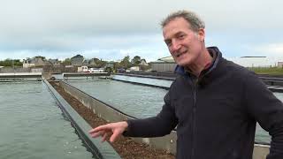 Les algues un trésor à protéger grâce à laquaculture Bord à bordFrance Haliotis [upl. by Samaria]