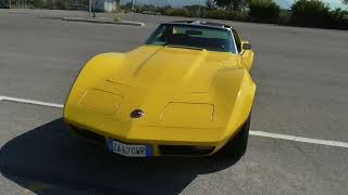 Chevrolet Corvette C3 Stingray 1974 Start Up Exhaust Walkaround [upl. by Ahsielat915]