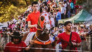 La Ilusión  Sebastián Almendras quotEl Cuarto De Millaquot Corridos De Caballos [upl. by Lejeune]