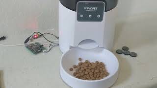 Custom WoPet Automatic Pet Feeder Using Arduino nodemcu [upl. by Haida]