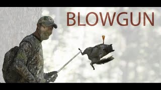 Blowgun Squirrels Tim Wells Deadly Shots [upl. by Konikow736]