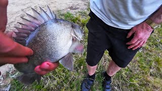 EPIC Fishing In The Murray River At Tocumwal Including Yellowbelly And Silver Perch [upl. by Brennan]