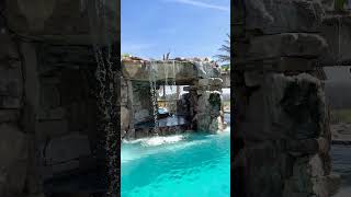 We love grottos how about you insanepools lucaslagoons grotto poolbuilder pool backyard [upl. by Warfield]