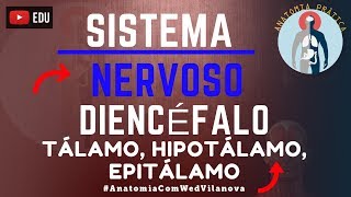 Diencéfalo Tálamo  Hipotálamo  Epitálamo  Sistema Nervoso  Anatomia Prática  VideoAula [upl. by Enitsud673]