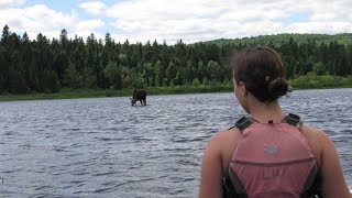 Canoeing Allagash amp Penobscot Rivers amp Hiking Mt Katahdin [upl. by Lenehc]