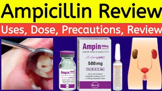 Ampicillin capsules Ip 500 mg 250 mg  Ampicillin Review  oral solution  Uses Side Effects Dose [upl. by Nyer]