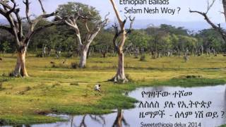 Gizachew Teshome Ethiopian Ballads  Selam Nesh Woy   የግዛቸው ተሾመ ለስለስ ያሉ የኢትዮጵያ ዜማዎች  ሰላም ነሽ ወይ [upl. by Chandos631]