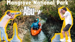 Exploring Mangrove National Park Abu Dhabi [upl. by Naihtsirc]