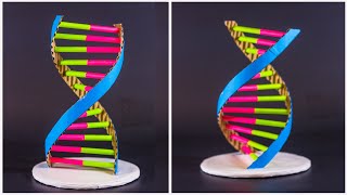 Science Projects  DNA Structure Model [upl. by Eilzel877]