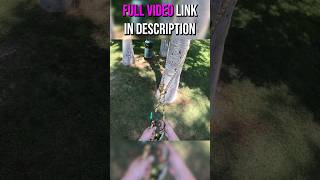 RETRIEVABLE Spar Anchor for MRSDRT for Arborists amp Tree Climbers arborist climbing [upl. by Erodasi494]