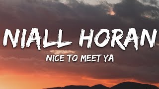 Niall Horan  Nice To Meet Ya Lyrics [upl. by Hael]