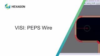 VISI by Hexagon PEPS Wire [upl. by Ueih]