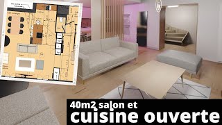 Projet 40m2 salon cuisine ouverte 2 options [upl. by Akimal190]