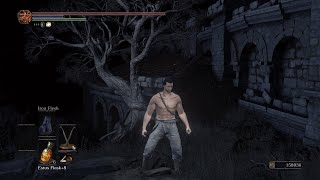 DARK SOULS 3  Tree Jump Dark Firelink Shrine  June 2020 [upl. by Itisahc]