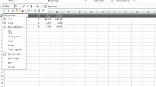 How to Put Titles in the Row Headers on Microsoft Excel  MIcrosoft Excel Tips [upl. by Neelhtac133]