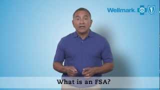 Understanding FSAs [upl. by Slater]