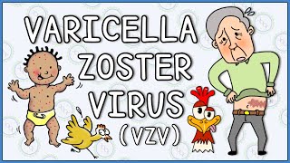 Varicella zoster virus Chicken Pox and Shingles herpes zoster [upl. by Eartha]