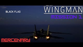 Project Wingman Playthrough  Mission 1 Black Flag  Mercenary [upl. by Samuelson]