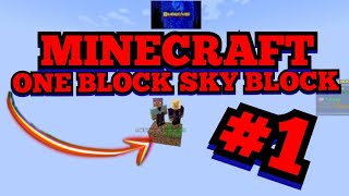 CI RITROVIAMO SU UN SOLO BLOCCO  Minecraft One Block Ep1 [upl. by Celina]