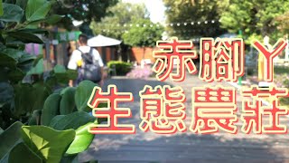 台中市大雅區【赤腳丫生態農莊】有飛禽走獸、有室內外遊戲區及沙坑、戲水區、有餐廳及烤肉區，孩子需要放電這裡簡直可以從早玩到晚 [upl. by Farrar]