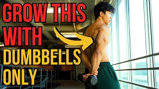 The ONLY 3 Tricep Exercises You NEED for BIGGER Triceps DUMBBELL ONLY [upl. by Nairbal]