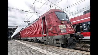 Zugverkehr in Nürnberg HBf am 19112024  zwischen Hamstern Möpsen und Weißwürsten [upl. by Vijar62]