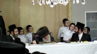 Skulener Rebbe Tu BShvat Tisch In Boro Park 4 [upl. by Thomsen896]