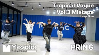 Tropical Vogue Vol3 Mixtape  Lazy Flow  VOGUING  PRING  의정부 모비딕 댄스 학원 [upl. by Nev]