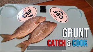 Pigfish Grunt Catch and Cook [upl. by Aeneg]