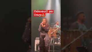 වස්සානයට අත වනලා Umariya with Infinity live concert sinhalasongs srilanka umaria bns songs [upl. by Donnelly]