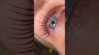 Amazing lash lift result 😍😍😍 eyelashlifting eyelashperm lashlift [upl. by Flanders]