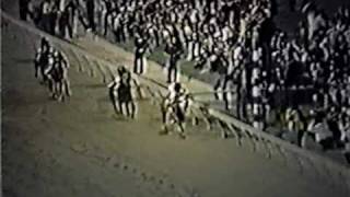 SECRETARIAT  1973 Preakness Stakes Alternate Footage [upl. by Llegna]