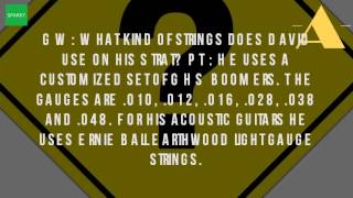 What Kind Of Guitar Strings Does David Gilmour Use [upl. by Anawt]