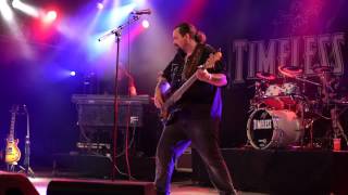 TIMELESS  Davys on the Road Again Manfred Mann Cover  Brienzersee Rockfestival 2016 [upl. by Okiruy720]